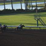 LosAl_Race_0083 (July 26, 2015)